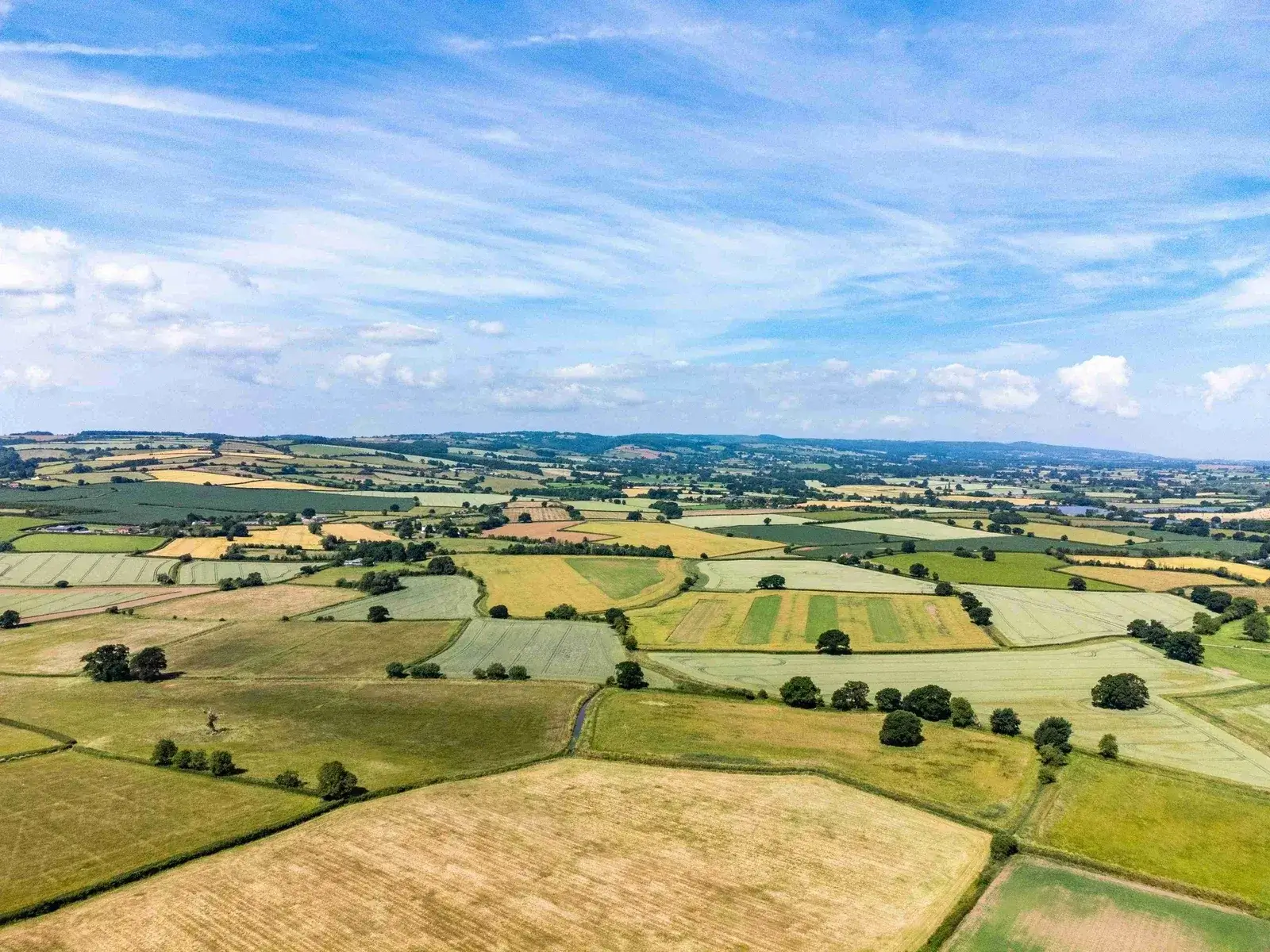 Aerial view of farmland
